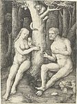 Original sin circa 1506 date QS:P,+1506-00-00T00:00:00Z/9,P1480,Q5727902 . engraving. 11.9 × 8.8 cm (4.6 × 3.4 in). Various collections.