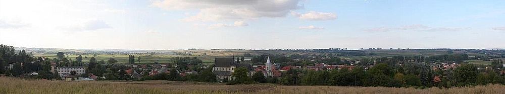 Panorama Skalbmierza. Widok od strony południowej