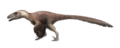 Utahraptor from previous image