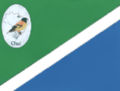 Bandeira de Chuí