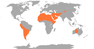 Distribución actual dos camélidos (Introducidos en Australia)
