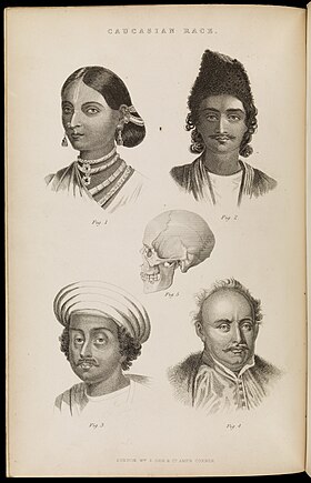 Ilustracija Kavkaske rase