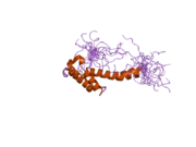 2da6: Solution structure of the homeobox domain of Hepatocyte nuclear factor 1-beta (HNF-1beta)