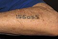 Fangenummer tatovert på armen, Auschwitz