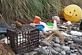 Image 16Marine debris strewn over the beaches of the South Atlantic Inaccessible Island (from Atlantic Ocean)