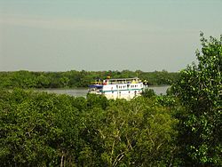 Sungai di Sundarban