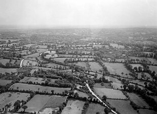 An aerial view of numerous irregular shaped fields bordered by trees and thick hedges; a narrow road winds its way through the landscape.