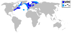 Distribución do arenque