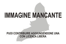 Immagine di Vespadelus caurinus mancante