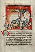 Bestiaire de Radford, l'éléphant