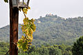 Panorama delle colline intorno al paese.