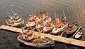 フィンランドのフィンマルク県の漁船群。木造船とFRP船が混在。