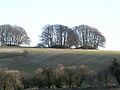 "Hedgehog" Hill Graves near Avebury