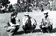 Three men with Eurasian Sparrowhawks perching on their fists