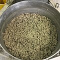 Freshly mixed hempcrete. Composed of hemp hurds, hydrated lime and water