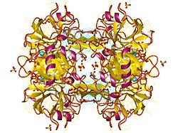 Trypsin-1