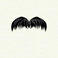 Moustache en chevron