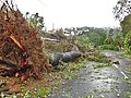 Effects of Hurricane Maria in Guadeloupe, 2017