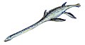 Elasmosaurus