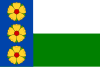 Flag of Bezděkov nad Metují