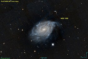 Image illustrative de l’article NGC 1255