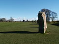 Stone 9 (The Barber Stone) on the right. South-west quadrant.