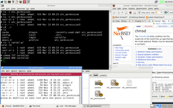 Kuvakaappaus NetBSD:stä