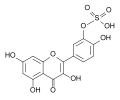 3'-O-sulfate de quercétol