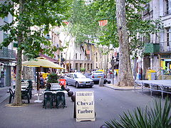 Passeig i plàtans