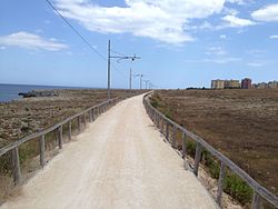 Un tratto della pista ciclabile