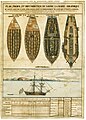 La Marie Séraphique, a slave ship that traveled from Nantes