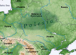 Polesian Lowland marked in dark green