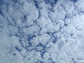 Altocumulus stratiformis