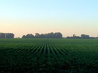 Fields in Argentina