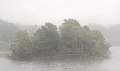 Image 68An island (with ospreys) in Trustom Pond in the fog