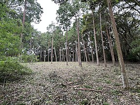 志布志城（内城）跡