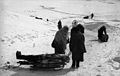 Russian women transport the dead by sledge during the occupation of Kholm. End January - Beginning May 1942.