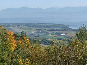 Panorama sur le lac Léman et les Alpes.