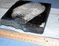 Single thermal protection system tile that was recently recovered near Powell, Texas