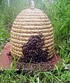 Slaměný úl – košnice