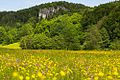 Mittelbergwand im Hirschbachtal