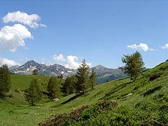 Vallon de Mollières, parc national du Mercantour dans les Alpes-Maritimes.