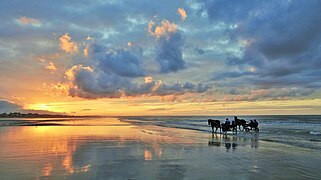 La plage de Cabourg, le même soir.