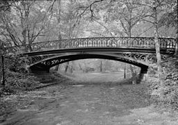 Bro i Central Park