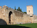 Wall with Torre Santa Maria