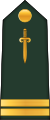 Lieutenant (Централно Афричке копнене снаге)