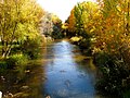 Reka Arlanzón jeseni
