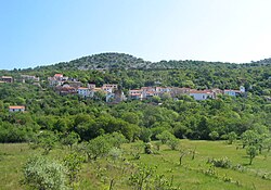 Dragozetići