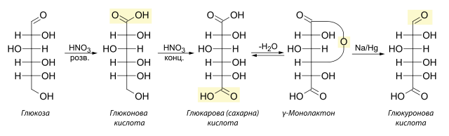 Отримання глюкуронової кислоти із глюкози через лактон гюкарової кислоти