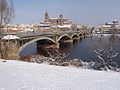 Salamanca'da "Enrique Estevan Tormes" Köprüsü. Katedral arkada